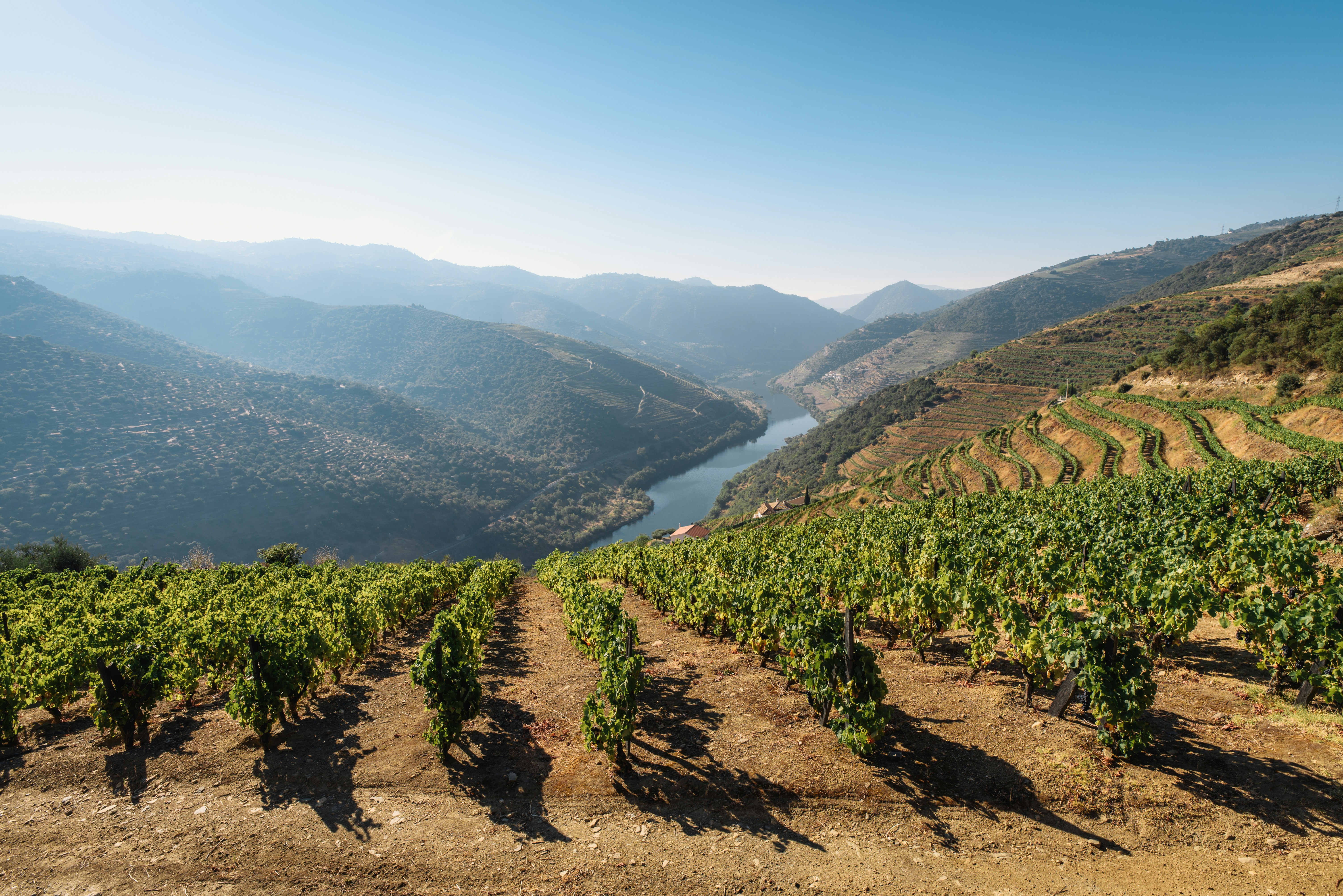 Douro & Alto Minho: Rota dos Vinhos do Norte 2